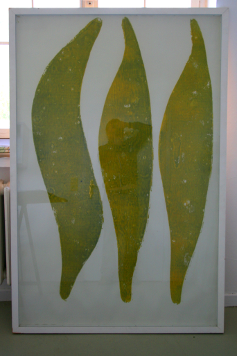 3 grüne Blattmikroben