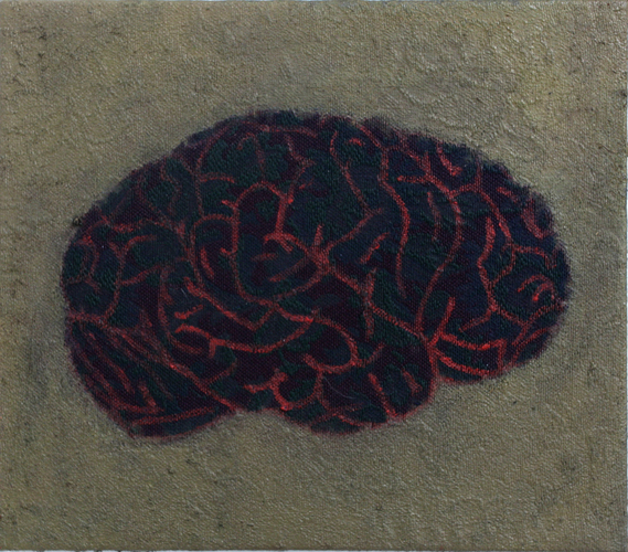 Gehirn (Seitenansicht rechts)