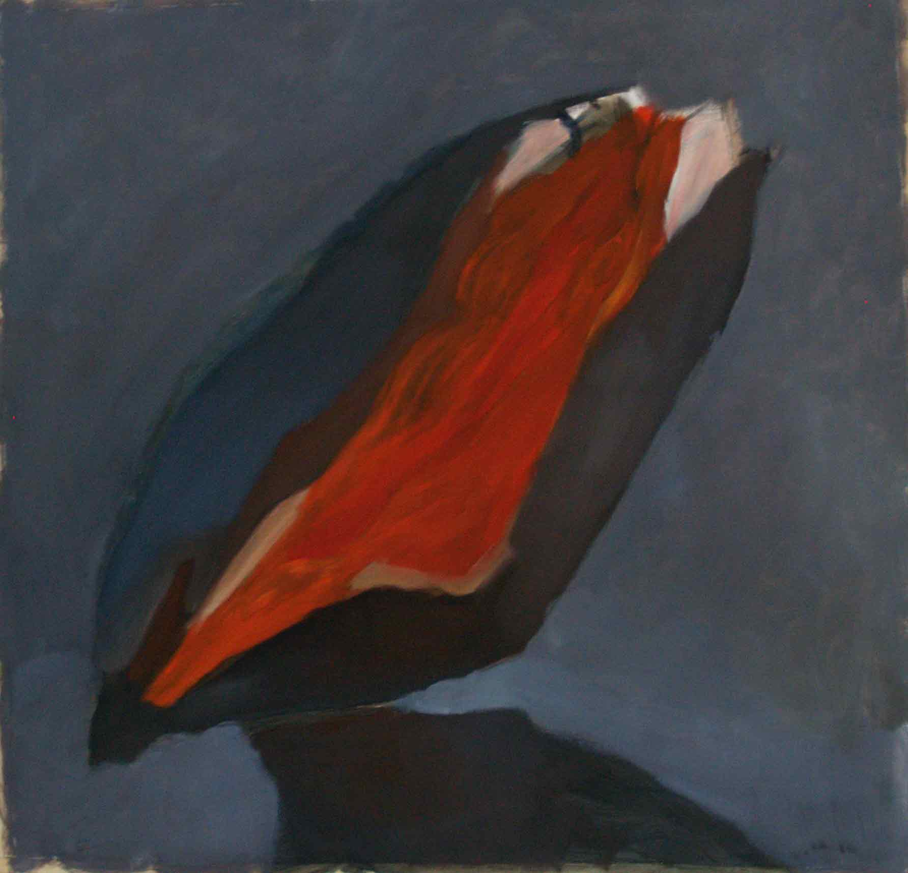 Schmetterling-geschlosen